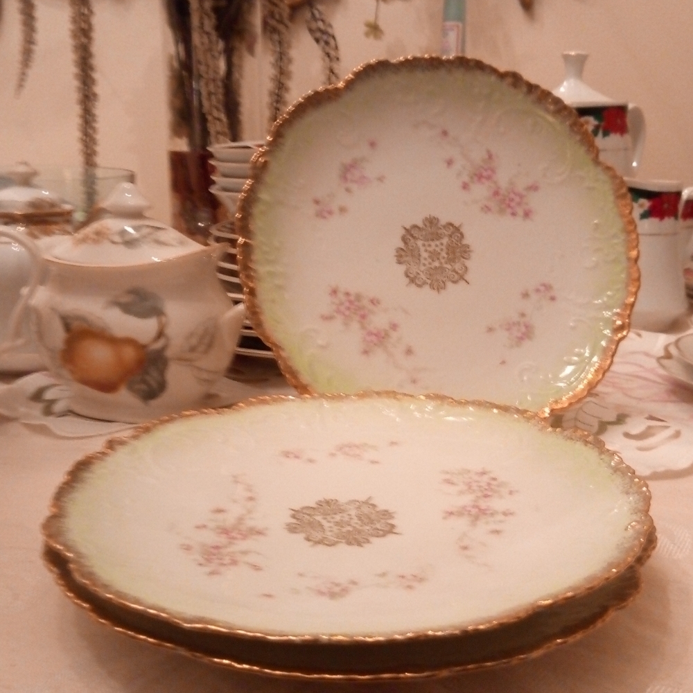 Set of 3 antique Austria Karlsbad plates